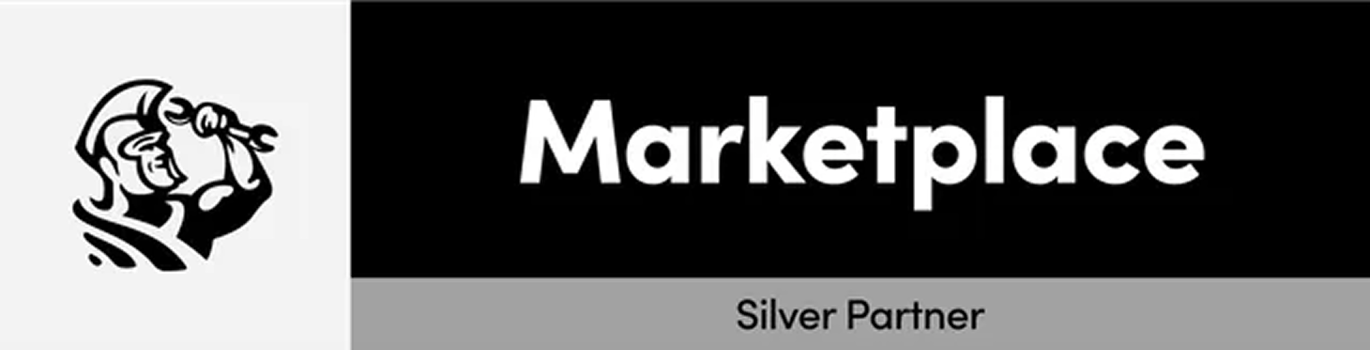 silver partner
